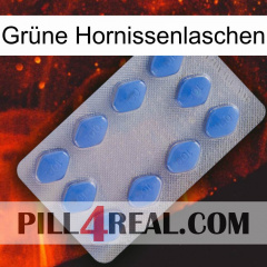 Grüne Hornissenlaschen 21